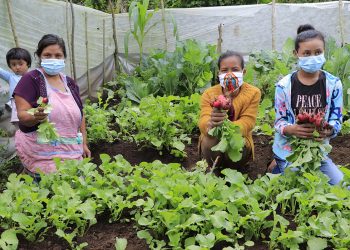 Una nueva oportunidad para producir alimentos