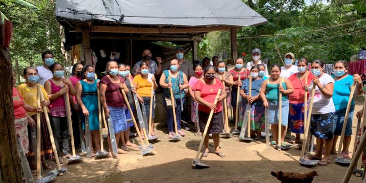 Entregan semillas y herramientas de labranza específicas para cada región