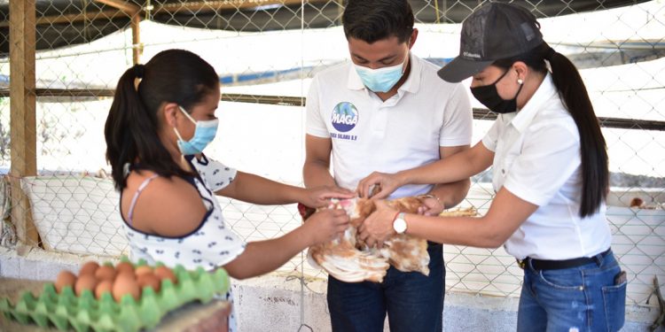 MAGA capacita de forma integral a mujeres rurales