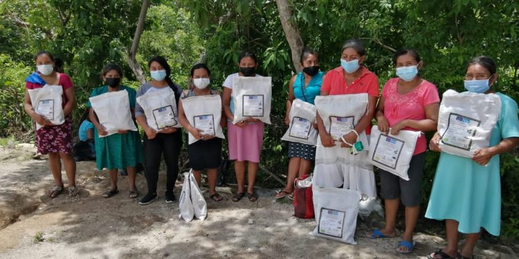 Más de 600 familias beneficiadas con semilla de frijol ICTA Chortí