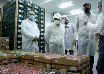 Guatemala cuenta con alta tecnología para la producción agrícola