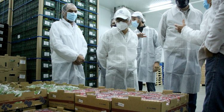 Guatemala cuenta con alta tecnología para la producción agrícola