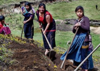 Reunión del Subcomité de Equidad de Género y Pertinencia Cultural del CTI