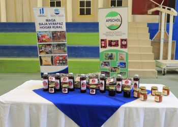 MAGA impulsa la agrocadena de la rosa de jamaica