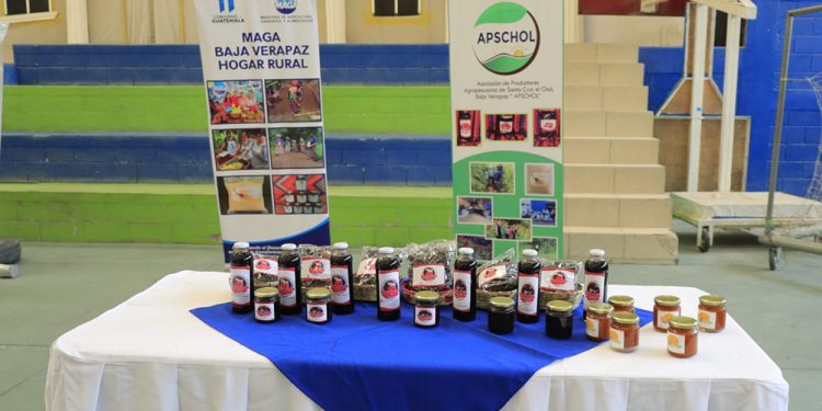 MAGA impulsa la agrocadena de la rosa de jamaica