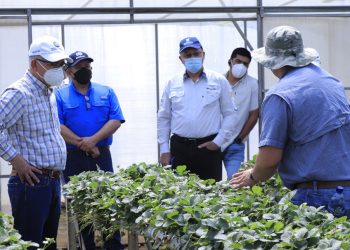 MAGA impulsa alianzas público-privadas para beneficiar a productores