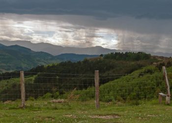 El Ministerio de Agricultura, Ganadería y Alimentación (MAGA) emitió una serie de recomendaciones dirigidas a productores agropecuarios por el ingreso al país de un frente frío, para este fin de semana.   De acuerdo al análisis agrometeorológico del Centro de Información Estratégica Agropecuaria (CIEA) del MAGA, los efectos de este frente frío podrían afectar los municipios de San Sebastián y Todos Santos Cuchumatán en Huehuetenango. De igual manera San José Ojetenam y Tacaná en San Marcos.       Según el pronóstico metereológico, en Huehuetenango la temperatura descenderá entre 2.8 a 3.3 grados centígrados. Mientras que en el segundo, oscilaría en 3.9 grados centígrados, según el CIEA.  La disminución de la temperatura se debe al ingreso del frente frío sobre la Península de Yucatán, México.     El CIEA, en su informe mensual de octubre, destacó que el inicio de la temporada de frentes fríos comenzará la segunda quincena de octubre y concluiría en marzo del 2022. En el presente mes se espera la presencia de este fenómeno natural, lo que provocará bajas temperaturas y heladas. “Estas ocurren cuando la temperatura del aire alcanza los 0 grados celsius y pueden afectar los cultivos”, informó Rafael López, coordinador del CIEA.     Ante este panorama y para disminuir los riesgos en la producción agropecuaria, el MAGA emite las siguientes recomendaciones.  Al sector agrícola  • Durante el ingreso del frente frío, es necesario cubrir las plantas con materia orgánica seca, como hojarasca o rastrojo vegetal (mulch) y/o coberturas plásticas.  • Reducir actividades en los suelos para evitar la excesiva pérdida de agua por evaporación.  • Para la protección de hortalizas, plantas ornamentales y el suelo por efectos de heladas o vientos, es necesario colocar estructuras de protección como microtúneles, estos se pueden elaborar con malla y manta.  Al sector pecuario • Evitar que los animales estén expuestos al frío y corrientes de aire.  • Para los cerdos y aves es necesario colocar cortinas en los corrales para protegerlos del frío directo.  • Monitorear constantemente el estado de salud de los animales.