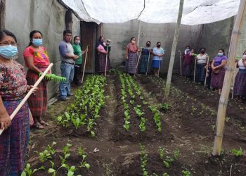 Insumos agropecuarios para familias rurales