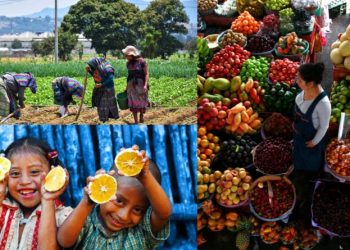 Guatemala participa en Cumbre de Sistemas Alimentarios de la ONU