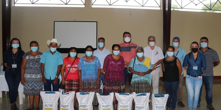 MAGA entrega semilla mejorada a 38 mil familias