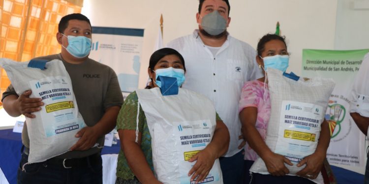14 mil familias rurales reciben semillas certificadas en Petén