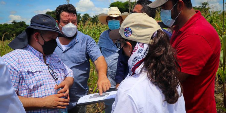 Autoridades visitan área donde se construirán corrales cuarentenarios en Petén