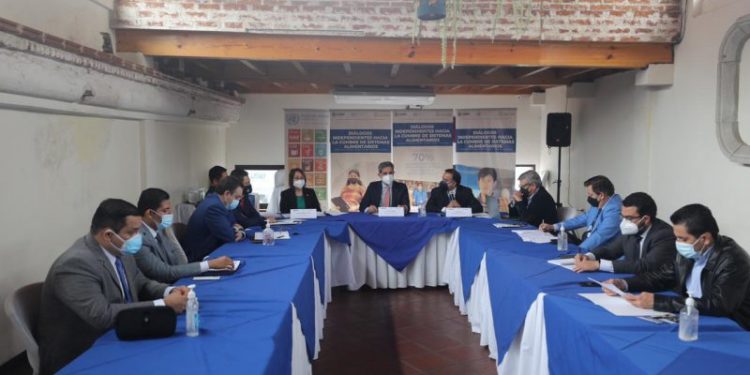 Sesan forma parte de Diálogo Independiente hacia la Cumbre de Sistemas Alimentarios