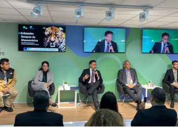 Iniciativa Cinco Grandes Bosques de Mesoamérica es presentada por Mario Rojas a ejecutivos de alto nivel