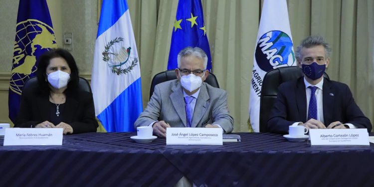 Concluye exitoso programa que fortalece la caficultura guatemalteca