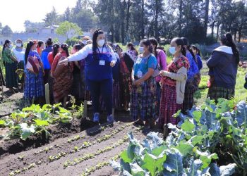 Mujeres se preparan para cultivar sus propios alimentos