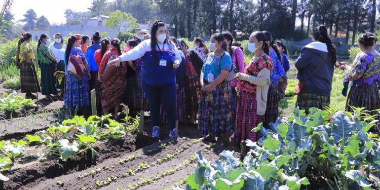 Mujeres se preparan para cultivar sus propios alimentos