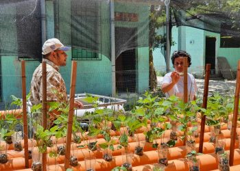 MAGA fomenta producción sostenible de peces y plantas en Petén