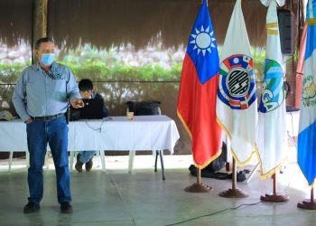 Guatemala en alerta para prevenir ingreso de hongo que afecta al banano y plátano