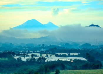 MAGA emite recomendaciones por descenso de temperatura a cero grados