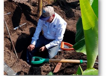 Estudio de suelos una herramienta útil para contrarrestar el cambio climático