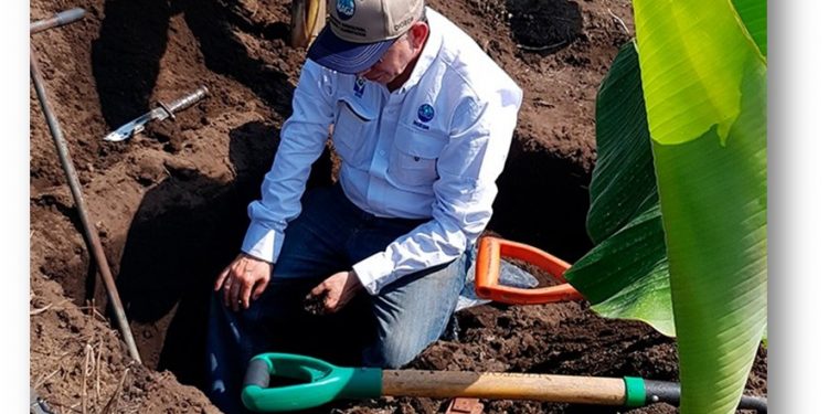 Estudio de suelos una herramienta útil para contrarrestar el cambio climático