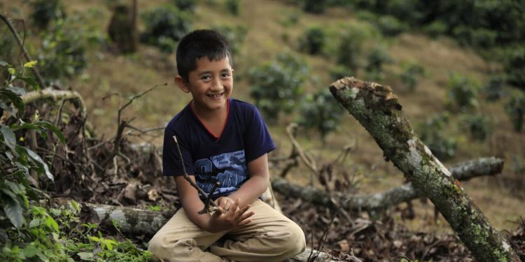 Aprueban Sistemas de Información en Seguridad Alimentaria y Nutricional en Jalapa