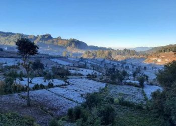 MAGA previene a productores por ingreso de nuevo frente frío