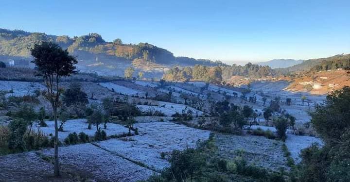 MAGA previene a productores por ingreso de nuevo frente frío