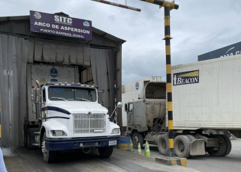 Redoblan medidas preventivas para evitar ingreso del hongo que afecta al banano y plátano