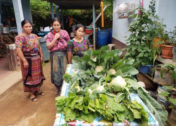 Sesan participa en primera reunión del sector academia del Movimiento SUN en Guatemala