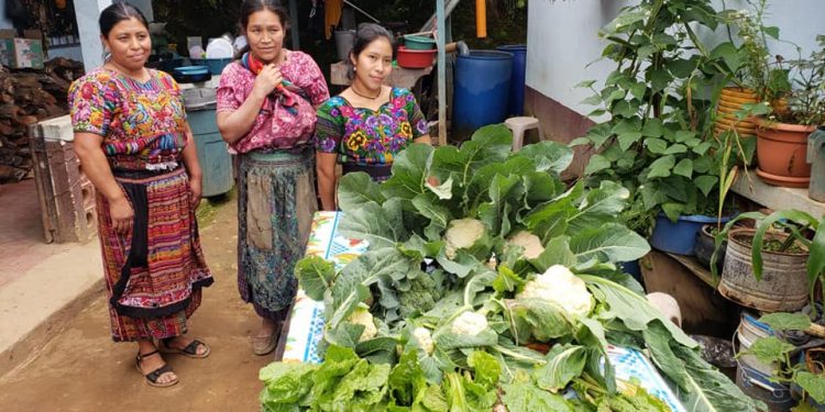 Sesan participa en primera reunión del sector academia del Movimiento SUN en Guatemala