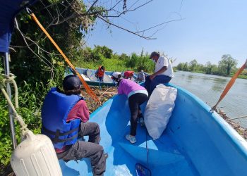 Equipo del MARN trabaja en la conservación del humedal Bocas del Polochic