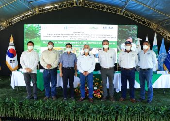 Impulso al desarrollo agroforestal en las Verapaces