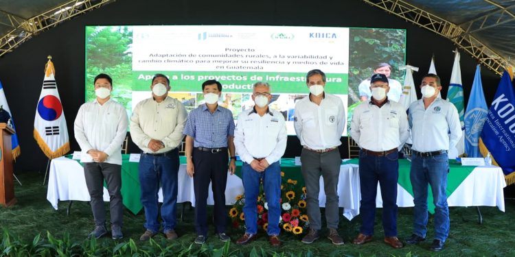 Impulso al desarrollo agroforestal en las Verapaces