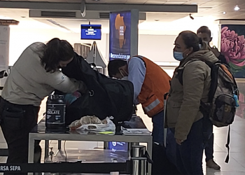 Capacitan a personal del aeropuerto La Aurora para evitar el hongo que afecta al banano y plátano