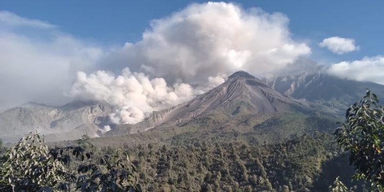 MAGA pide resguardar la producción agropecuaria