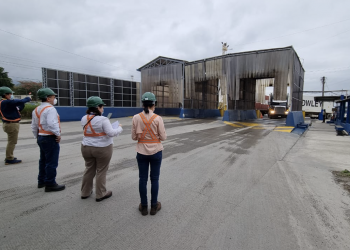 Fortalecen controles en Santo Tomás de Castilla para prevenir ingreso del hongo que afecta al banano y plátano.
