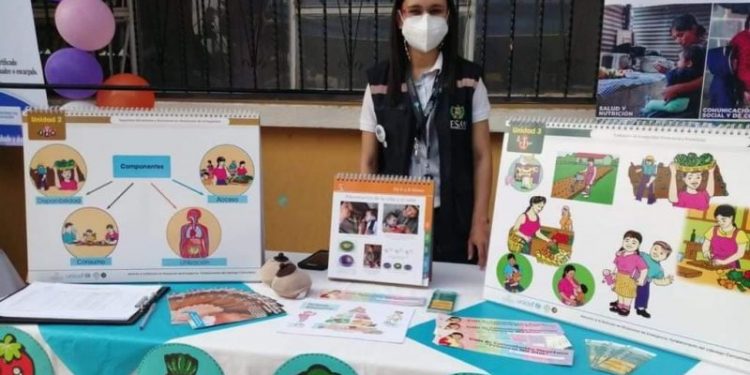 Articulación de la Sesan en el marco del Proyecto Crecer Sano