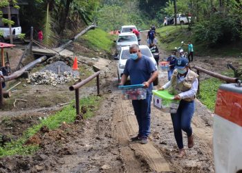 Aprueban Plan Institucional de Respuesta de la Sesan