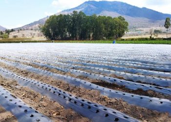 El MAGA impulsa potencial de suelos en Jalapa