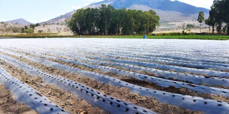 El MAGA impulsa potencial de suelos en Jalapa