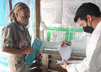 El MAGA impulsa herramientas para garantizar el bienestar animal de cerdos en granjas