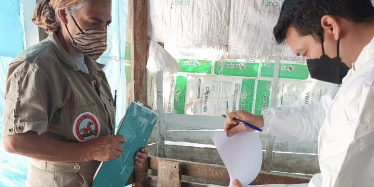 El MAGA impulsa herramientas para garantizar el bienestar animal de cerdos en granjas