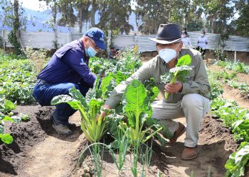 MAGA impulsa huertos comunitarios en Chimaltenango