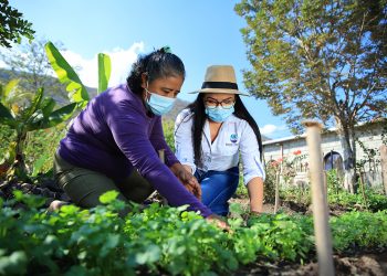 El MAGA fortalece capacidades de la mujer rural en Guatemala