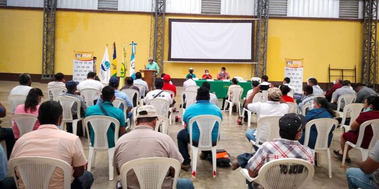 ICTA desarrollará investigaciones para mejorar la producción agrícola en Petén