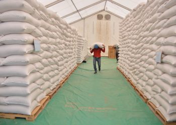 Guatemala contará con reservas estratégica de granos básicos