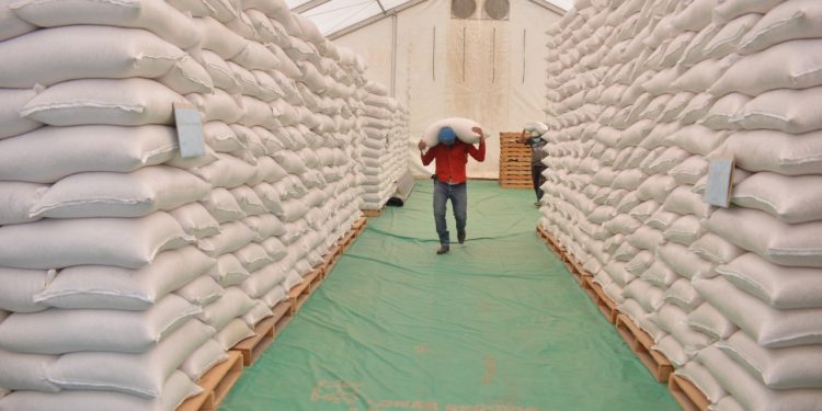 Guatemala contará con reservas estratégica de granos básicos