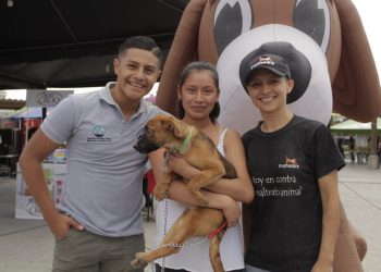 El MAGA llama a garantizar el bienestar animal ante el descanso de Semana Mayor